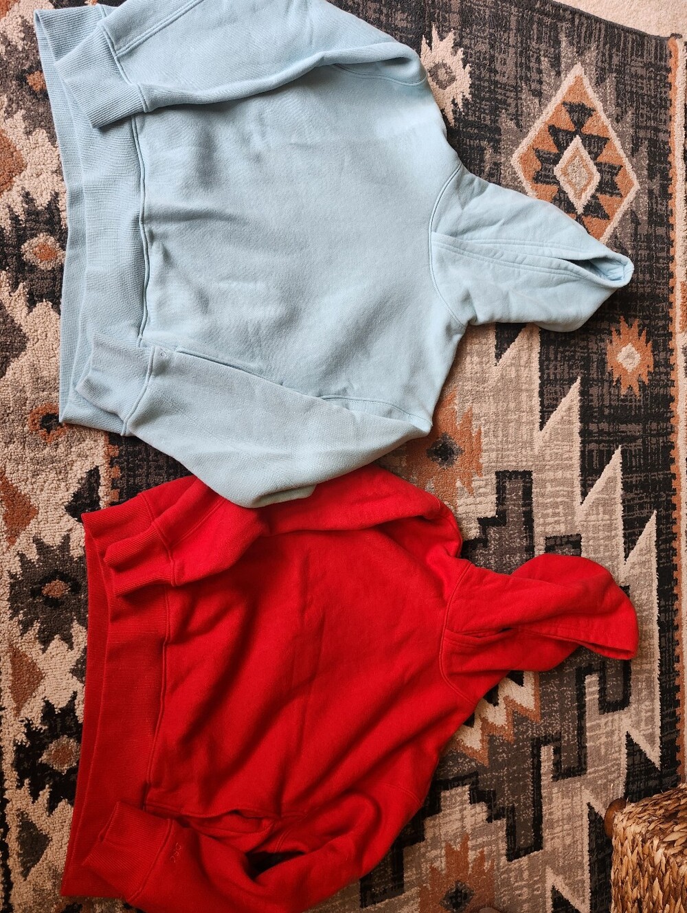 DSG Kids Hoodies in Light Blue and Bright Red